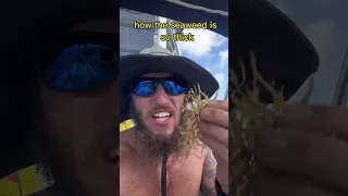 Did you know this was in the middle of the Ocean?