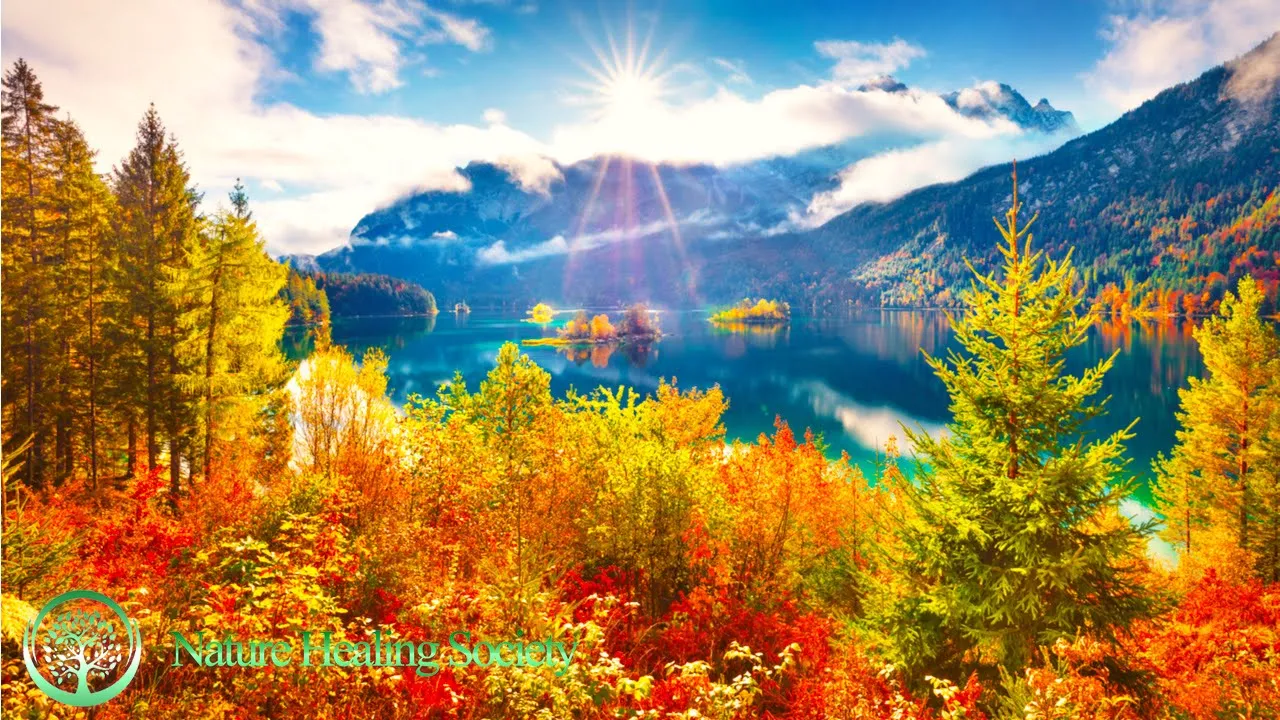 Good Morning Music 528Hz - Morning Music With Free Positive Energy - Morning Meditation Music Good Morning Music 528Hz - Morning Music With Free Positive Energy - Morning Meditation Music