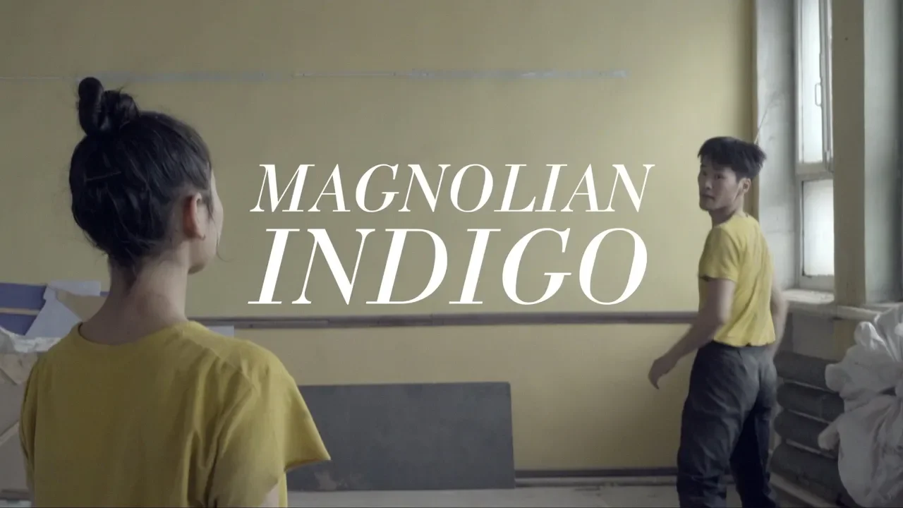 Magnolian - Indigo (Official Video)