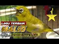 PLECI MALIO KONSERVASI TERBAIK - MARKAS TJM #viralvideo