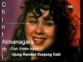 Download Lagu Ujung rambut ke ujung kaki-chintami atmanegara