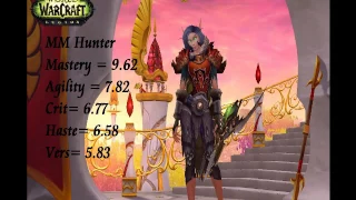 Marksman Hunter Stat Priority - Best Stat