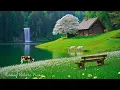 Download Lagu Healing Music for Inner Peace 🌿 Calm Nature Sounds for Stress Release \u0026 Deep Sleep, Relaxing Music