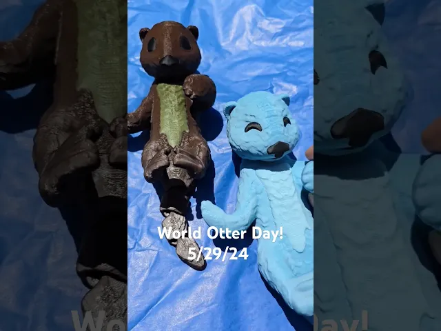 Flexi Sea Otter video thumbnail