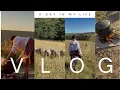 Download Lagu Vlog: Eastern Cape Vlog | spend the day with me | Preparing for umcimbi🍲| 🇿🇦 South African YouTuber