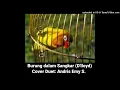 Download Lagu Lagu no906; Burung Dalam Sangkar (D'lloyd); 'Dicover' duet oleh Andris \u0026 Emy S