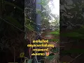 Download Lagu #സ്വന്തം നിഴലിനെ പോലും വിശ്വസിക്കരുത്