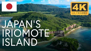 Japan s Forgotten Paradise The Natural Wonders of Iriomote 4K U Documentary