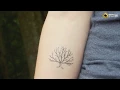 Best Oak Tree Tattoo Design Idea