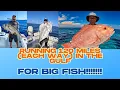 Lagu Running 240 Miles in Gulf for Big Fish!