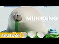 Download Lagu Foodie Seal #Mukbang For YouㅣSEALOOKㅣEpisodes Compilation