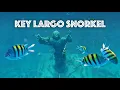Key Largo Snorkeling - Dive Capital of the World