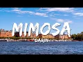 Download Lagu Darin - Mimosa (Lyrics)