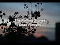 Download Lagu The Rolling Stones - Dead Flowers (Subtitulado al Español)