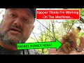 Morel mushrooms 2023 in Southern Illinois-Jackpot