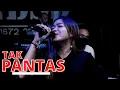 Download Lagu ERIKA SYAULINA - TAK PANTAS | INDSS / FPRO MUSIK