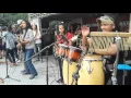 Senopati Reggae Roots ft Dellu uyee - Pemimpi