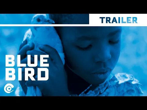 Official International Trailer