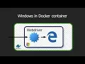 Selenium in Docker manually running Windows browsers under Linux