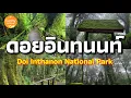 Download Lagu แบกเป้เชียงใหม่​ ตอนที่ 3 | อุทยาน​แห่งชาติ​ดอยอินท​นนท์​ | Doi​ Inthanon​ National​ Park​