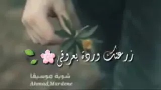 زرعتك وردة بعيوني  دندنها
