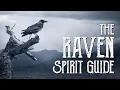 Raven Spirit Guide - Ask the Spirit Guides Oracle Totem Animal