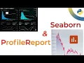 Data Visualization with Python Seaborn ProfilingReport and Matplotlib