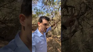 الناس في البحر او انا فين 