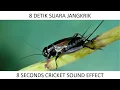 Download Lagu 8 Detik Suara Jangkrik - 8 Seconds Cricket Sound Effect