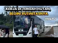 Download Lagu IKN VLOG ‼️ Keseharian ASN Otorita IKN