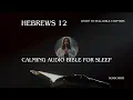 Hebrews 12 - Book of Hebrews Bible from New International Version NIV