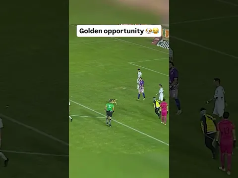 Dog in playing football😂🤣 #football # #soccer #dog #funny #fyp