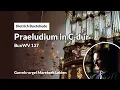 Download Lagu Buxtehude: Praeludium in C-dur, BuxWV 137​​​​​ | Gerben Budding, Marekerk Leiden