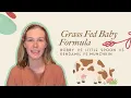 Best Grass Fed Baby Formula Bobby vs Little Spoon vs Kendamil vs Munchkin Compared