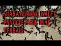 Suara Burung Walet Panggil Tarik Inap Terbaik
