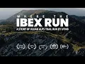 Download Lagu WHERE THE IBEX RUN | A story of the Julian Alps Trail Run by UTMB | Trail running documentary film