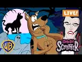 Download Lagu 🔴 LIVE! #Scoobtober Watch Party! 📺👻 Scooby-Doo FULL EPISODES \u0026 MOVIES! @wbkids