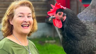Why This Is My Favorite Chicken Breed
