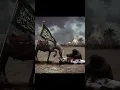 Download Lagu bangla waz, imam hussain, karbala, What is the story of hasan hossain kahini