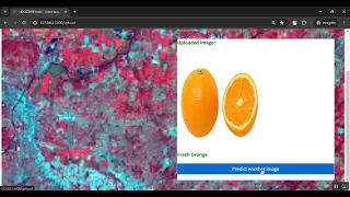 Fruit Disease Classification using Apple and Orange in Python Projects