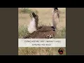 Download Lagu Uhuru Na Kazi