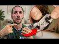 How to Cut Dog Nails at Home Step by Step Guide for Beginners