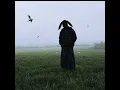Tempête