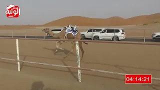 الشوط 10 انذار لـ سيف معيوف سالم الدرعي 6 51 51 شارة الشيخ طحنون 2023 8 27 لقايا الرقيعات 