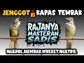 Download Lagu Jernih banget !! MASTERAN CUCAK JENGGOT VS KAPAS TEMBAK FULL DURASI