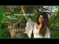 Download Lagu Coração Indomável - Abertura estilo SBT/2025