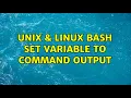 Unix Linux bash set variable to command output