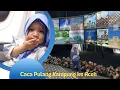 Download Lagu Caca Pulang Kampung ke Aceh