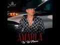 Amarla Es Un Placer