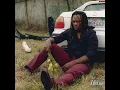Dende - Swerve ft. Eimaral Sol [Official Audio]